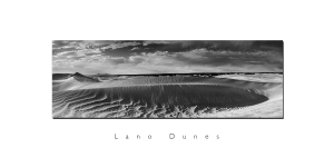dunes-5editcropbw
